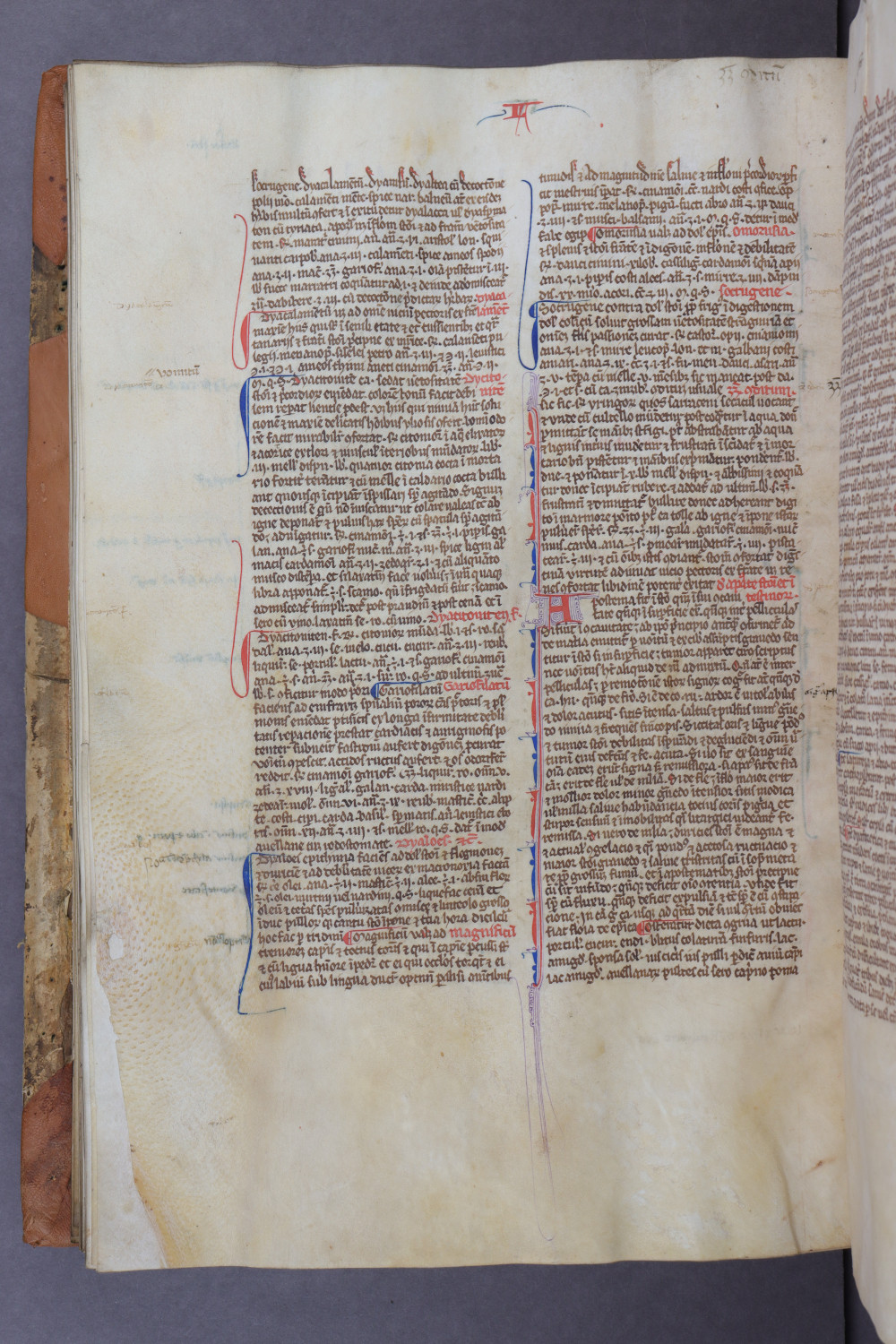 Folio 100 verso